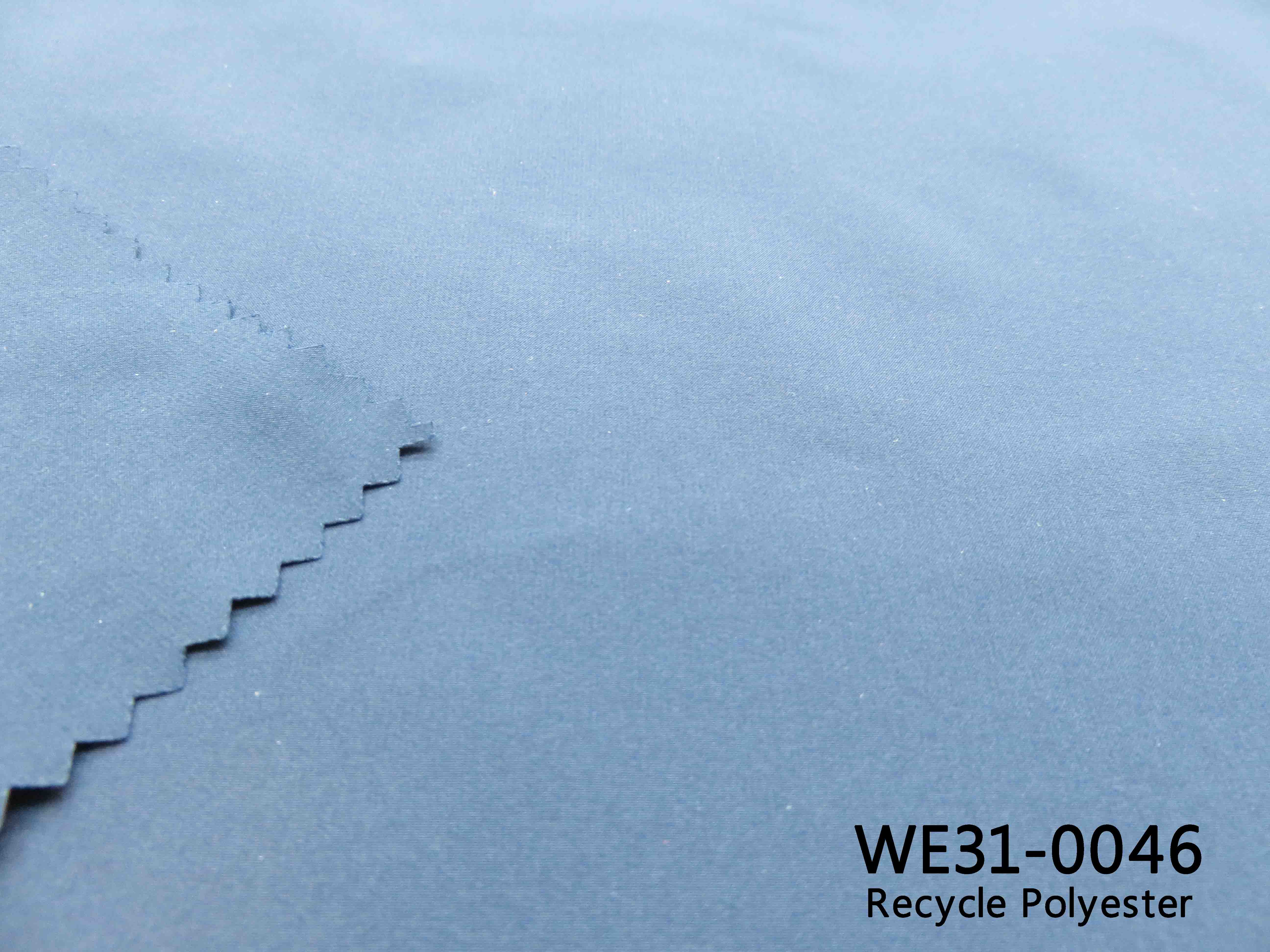 WE31-0046